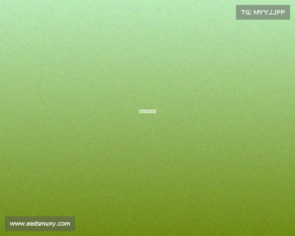 足球高级别赛事