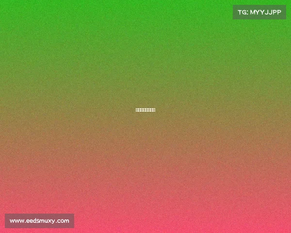 女子篮球赛叫什么