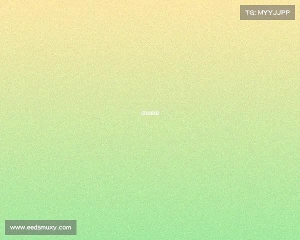 欧洲国家队赛事